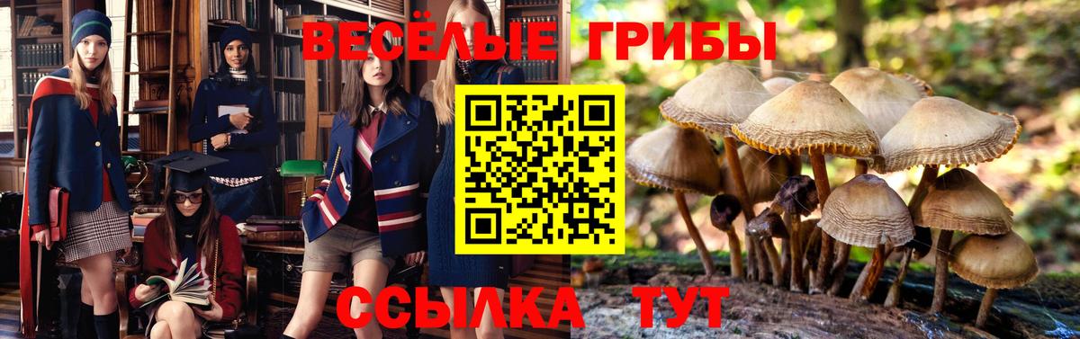 Псилоцибиновые грибы мухоморы  Вход с VPN  Жуковский 